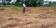 A picture of ALL INSTALLMENTS ALLOWED PLOT 50x50Ft ON QUICKSALE 3M located at