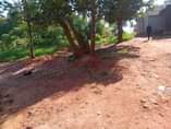 A picture of Kabuuma munyonyo rd plot