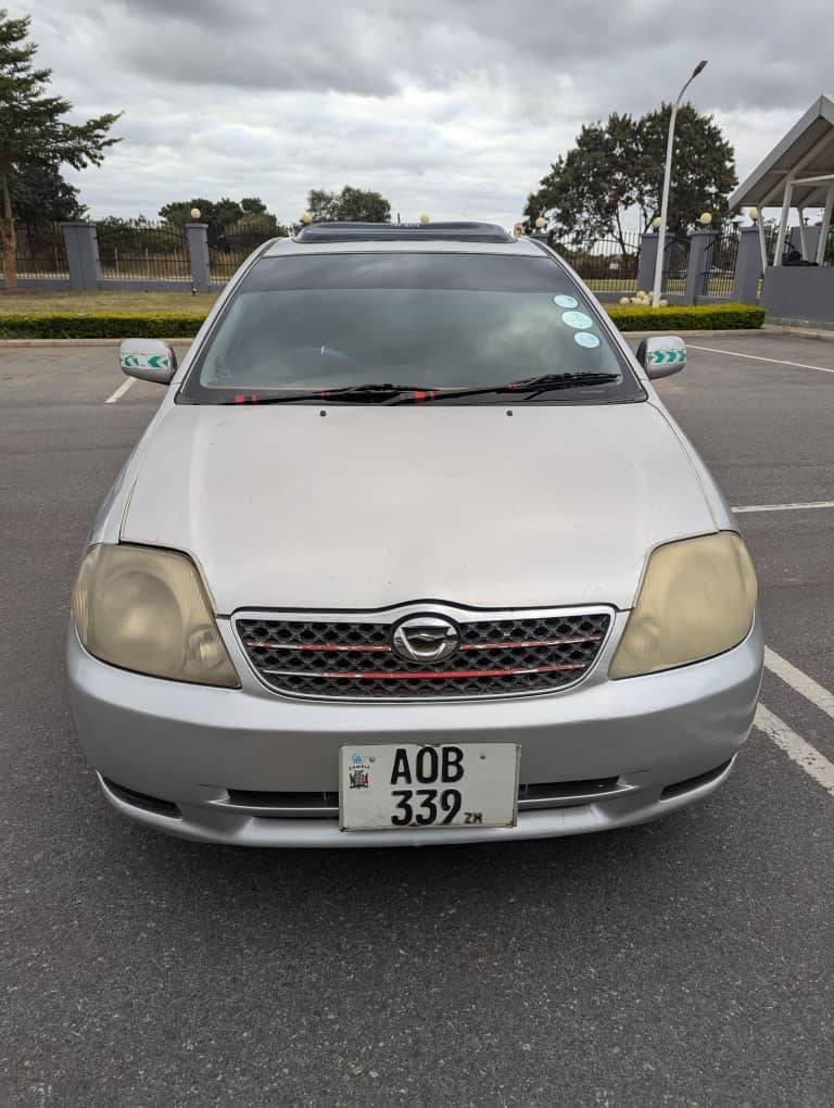 used toyota corolla