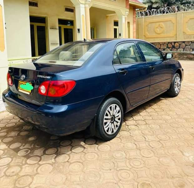 used toyota corolla