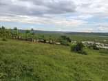 A picture of Big land for sale 2 hectors in Rwabutenge Gahanga sector