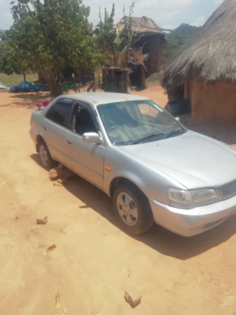 used toyota corolla