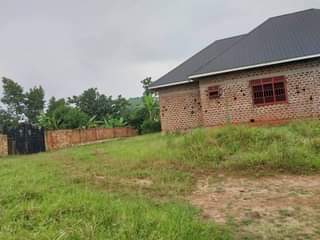 A picture of Matugga Kkungu plot on quick sale