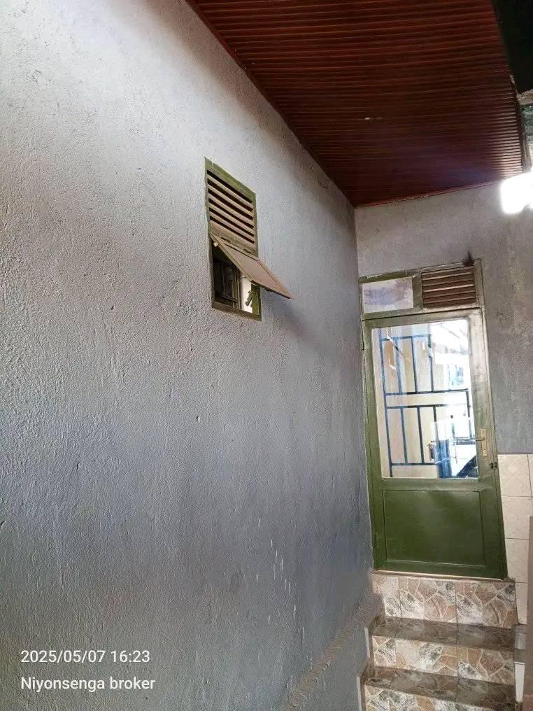 houses for rent