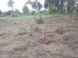 A picture of VINAUZWA MILION 3 CALL 0786111796 0744740524