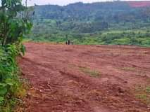 A picture of KATENDE PRIME ESTATE ALONG MASAKA ROAD JUST AFTER KYEGERA 50BY100