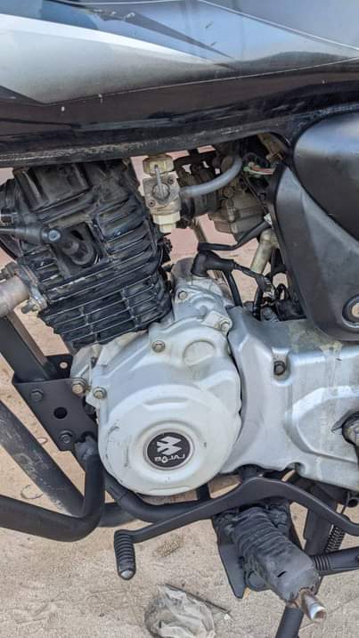 A picture of boxer cc125 BM