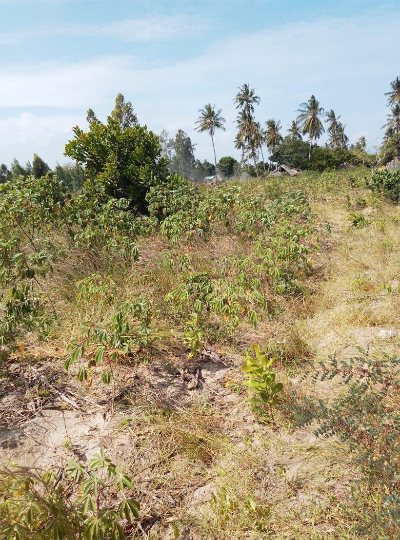 A picture of Plots