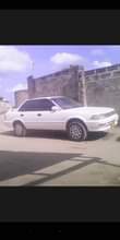 A picture of Collora limited