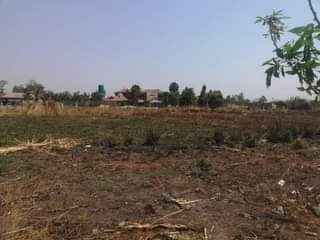 stands