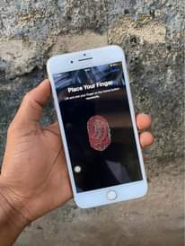 A picture of iPhone 7 Plus