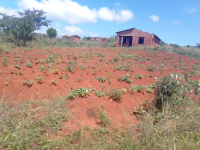 land