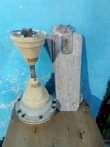 A picture of FENI YA UKUTANI.. MWANAMKE NYONGA...PANGA BOI SIZE YA KATI USHA