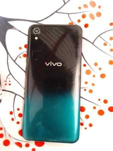A picture of Vivo 2015