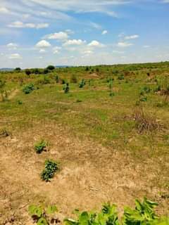 mwembeshi