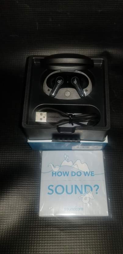earphones