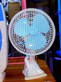 A picture of Fans