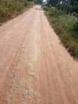 A picture of 3 fertile acres on sale all at 39m with electricity