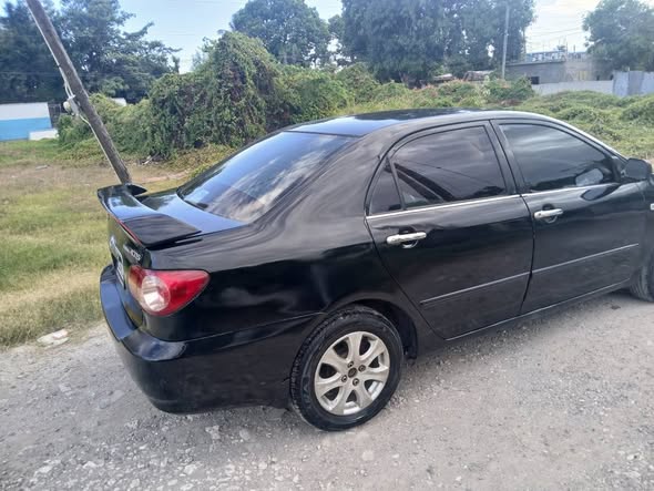Mike B.