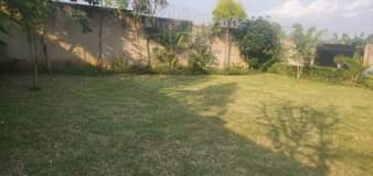 A picture of House for sale 4 Bedrooms toilets Sitting Dining Kitchen Store