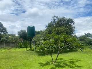 stands