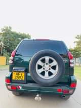 used toyota prado