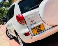 A picture of RAV4 MISS TZ