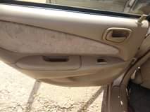 A picture of Corolla beast