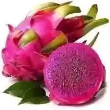 dragon fruit