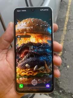 lg