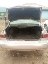 A picture of must go tomorrow Partially first body Good movement Buy and