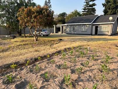 Property for Sale