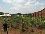 A picture of Nansana naluvule estate