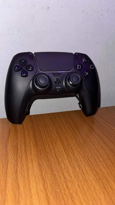 A picture of PS5 CUSTOM PRO CONTROLLER