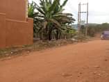 A picture of LAND FOR SALE 37 Decimals available for sale in Zana