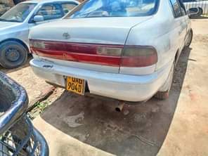 A picture of Kibina 4.9m Raum 8.9m 0705835212