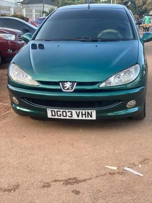 A picture of BELGIUM ESCAPE REGISTERED PEUGEOT 206