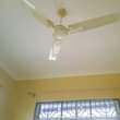 A picture of INAPANGISHWA MAJOHE HALISI 100 000