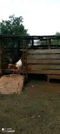 A picture of QUICK SALE 165arces AT 6M PER ARCE IN LUWEERO with