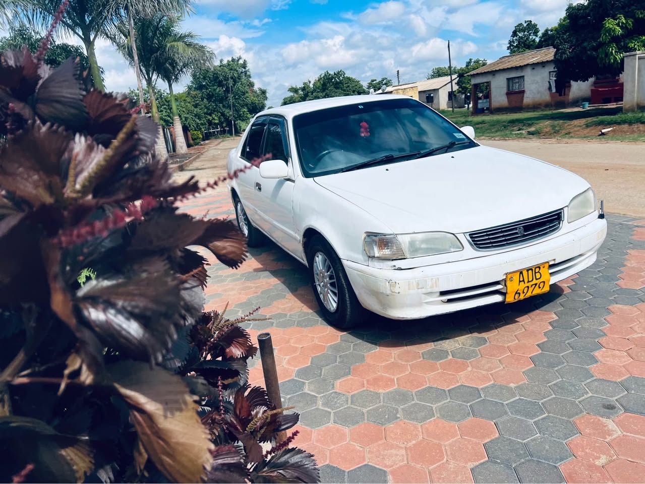 used toyota corolla