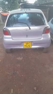 A picture of vitz