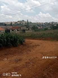 A picture of Prime plots 37m