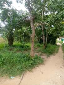 A picture of ENEO LINAUZWA MILION 12 LIPO CHANIKA