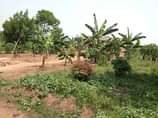 A picture of PLOTS WITH READY LAND TITLES kyapa ku meza IS UP