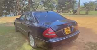 A picture of Custom