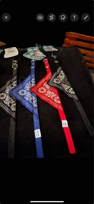 A picture of COLLARS FOR DOGS AND CATS