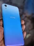 A picture of Vivo 2015