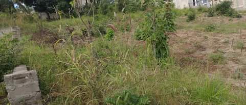 A picture of Kiwanja kinauzwa Tegeta A mtaa wa Bafaka sqm 1 800