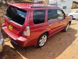A picture of Forester