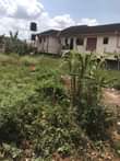 A picture of Land